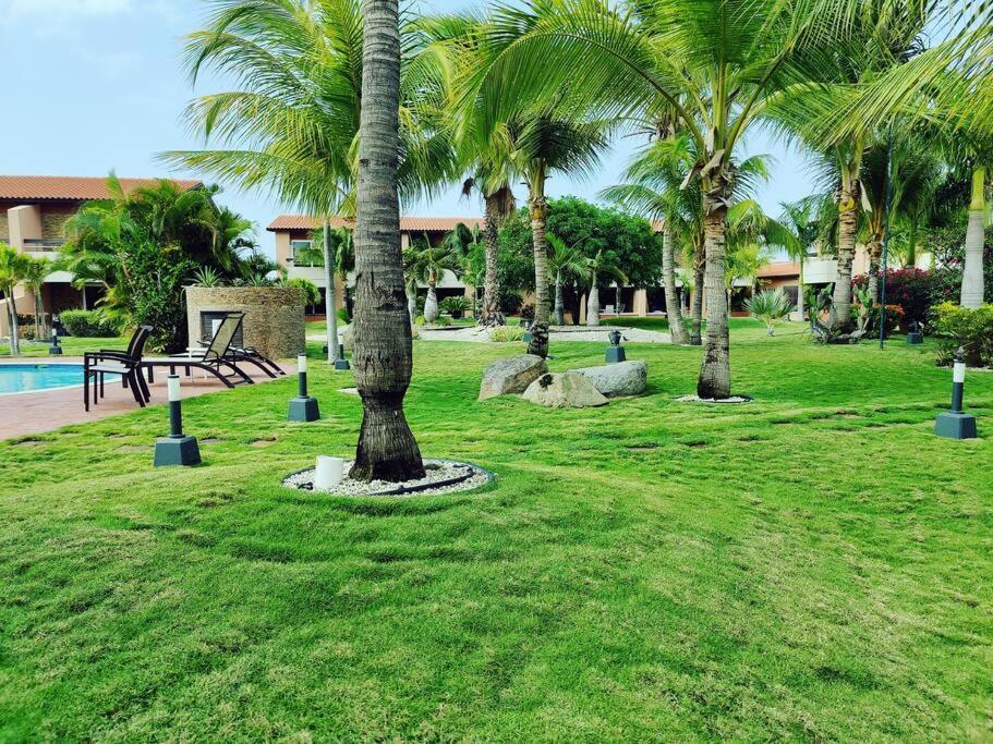 Aruba Family Oasis 2Br Pool 3Min Walk To Eagle Beach Palm Beach Exterior photo