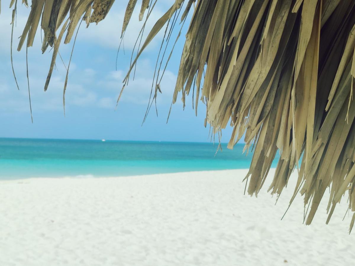 Aruba Family Oasis 2Br Pool 3Min Walk To Eagle Beach Palm Beach Exterior photo